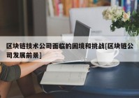 区块链技术公司面临的困境和挑战[区块链公司发展前景]